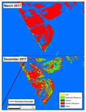 Habitat map of mangrove, marsh and vegetative change derived from WorldView-2 and Landsat-8 satellite imagery for Rookery Bay, Florida 2010-2018